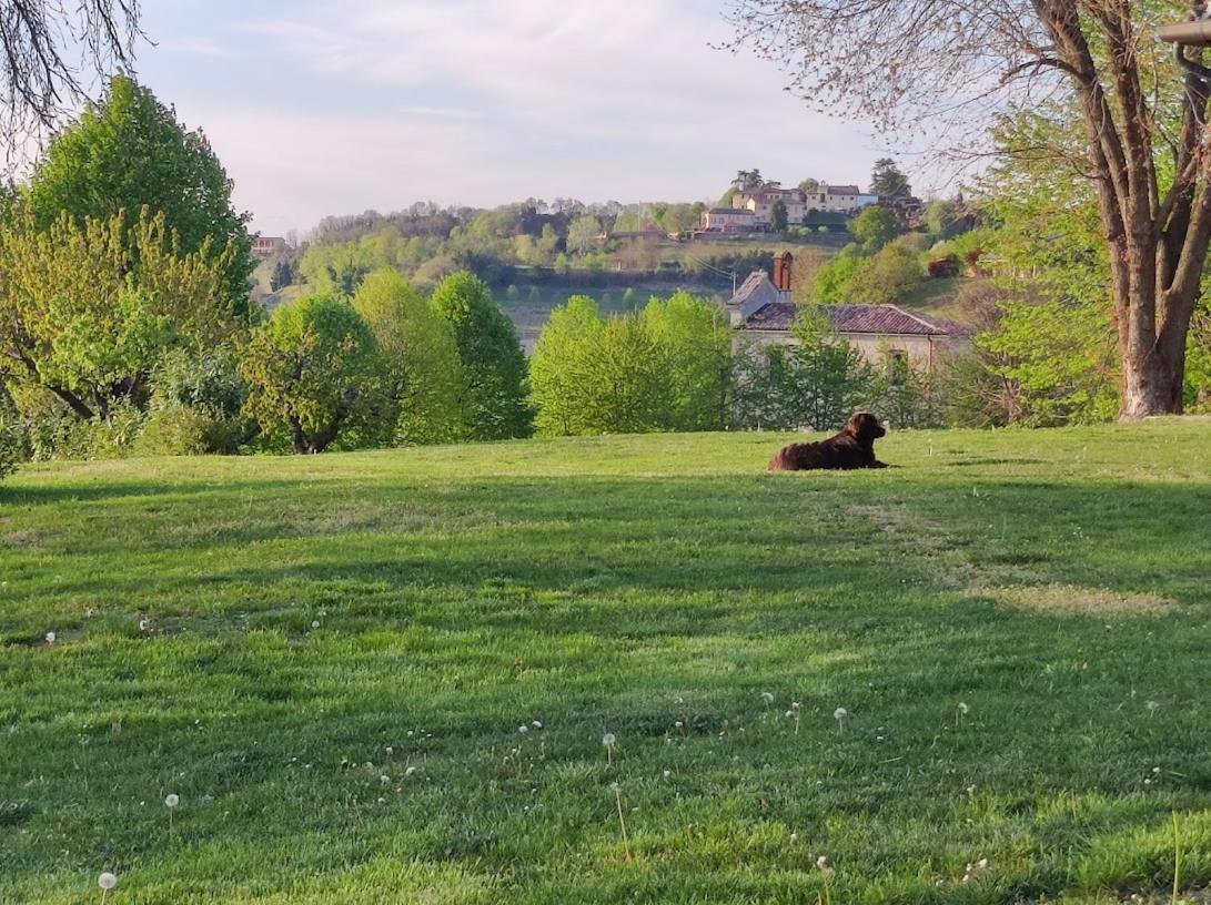 Villa Pieve มอนกาลโว ภายนอก รูปภาพ