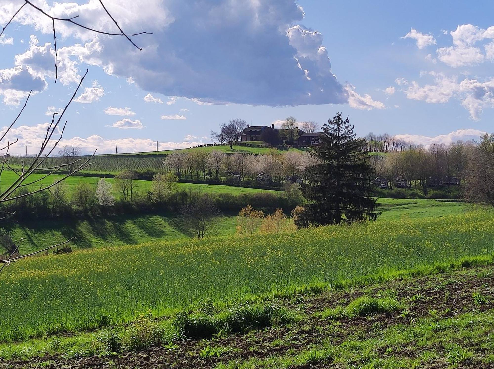 Villa Pieve มอนกาลโว ภายนอก รูปภาพ